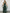 Romantic Green Tulle Gown with Ruffled Sleeves and Plunging Neckline
