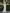 White High Collar Halter Neck Bridesmaid Dress