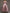 A-line Satin Removable Mesh Shawl Midi Dress