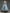 A-line Satin Removable Mesh Shawl Midi Dress