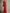 Elegant Red Evening Gown – Square Neckline with Lace Sleeves & Fitted Silhouette