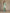 Elegant Eucalyptus Green Cape Sleeve Evening Dress with Lace Details